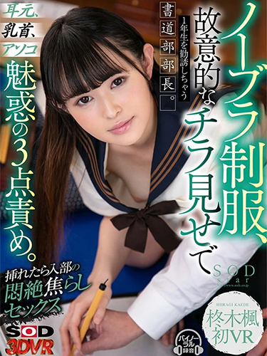 DSVR-0928